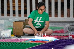 Domino Artist Lily Hevesh Prepares 100,000 Dominos In The National Building Museum For A Topple.