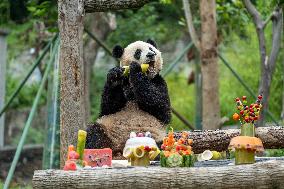 Giant Pandas Enjoy A Birthday Treat - China