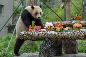 Giant Pandas Enjoy A Birthday Treat - China