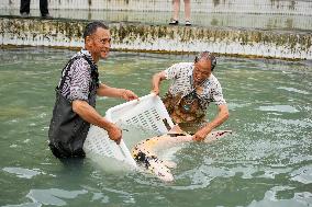 CHINA-CHONGQING-COLD-WATER FISH-BREEDING (CN)