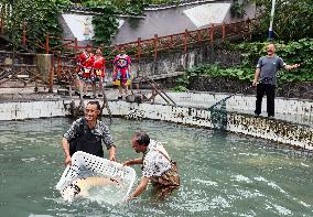 CHINA-CHONGQING-COLD-WATER FISH-BREEDING (CN)