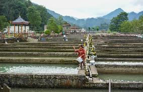 CHINA-CHONGQING-COLD-WATER FISH-BREEDING (CN)