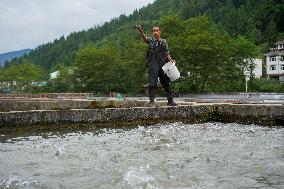 CHINA-CHONGQING-COLD-WATER FISH-BREEDING (CN)