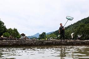 CHINA-CHONGQING-COLD-WATER FISH-BREEDING (CN)