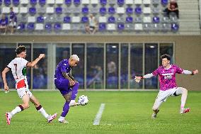 Friendly football match - ACF Fiorentina vs AC Reggiana