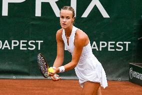 International Tennis match - WTA Hungarian Grand Prix - Semifinal