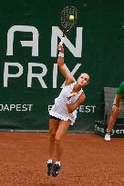 International Tennis match - WTA Hungarian Grand Prix - Semifinal