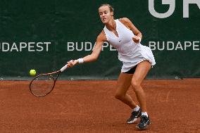 International Tennis match - WTA Hungarian Grand Prix - Semifinal