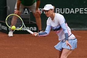 International Tennis match - WTA Hungarian Grand Prix - Semifinal