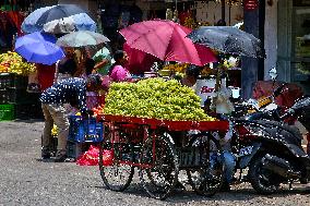 Daily Life In Thiruvananthapuram