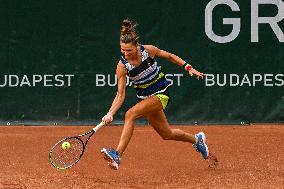 International Tennis match - WTA Hungarian Grand Prix - Semifinal