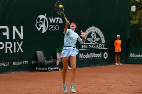 International Tennis match - WTA Hungarian Grand Prix - Semifinal