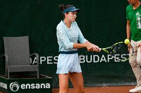 International Tennis match - WTA Hungarian Grand Prix - Semifinal