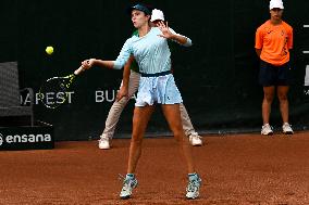 International Tennis match - WTA Hungarian Grand Prix - Semifinal