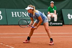 International Tennis match - WTA Hungarian Grand Prix - Semifinal