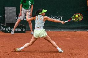 International Tennis match - WTA Hungarian Grand Prix - Semifinal