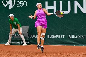 International Tennis match - WTA Hungarian Grand Prix - Semifinal