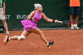 International Tennis match - WTA Hungarian Grand Prix - Semifinal