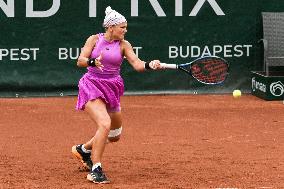 International Tennis match - WTA Hungarian Grand Prix - Semifinal