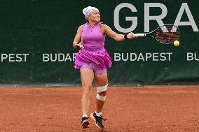 International Tennis match - WTA Hungarian Grand Prix - Semifinal