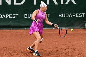 International Tennis match - WTA Hungarian Grand Prix - Semifinal