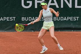 International Tennis match - WTA Hungarian Grand Prix - Semifinal