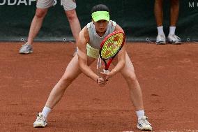 International Tennis match - WTA Hungarian Grand Prix - Semifinal