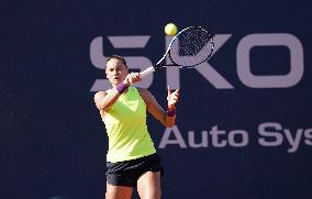 35th Palermo Ladies Open WTA 250