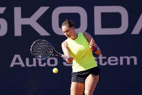 35th Palermo Ladies Open WTA 250