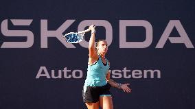 35th Palermo Ladies Open WTA 250