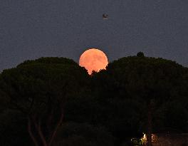 ITALY-ROME-FULL MOON