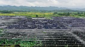 Photovoltaic Power Plant