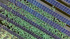 Photovoltaic Power Plant