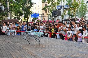 Beer Festival in Qingdao