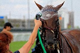 Thoroughbred Horse Racing At Woodbine Racetrack - July 20, 2024