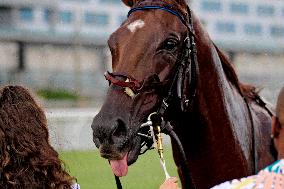 Thoroughbred Horse Racing At Woodbine Racetrack - July 20, 2024