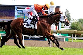 Thoroughbred Horse Racing At Woodbine Racetrack - July 20, 2024