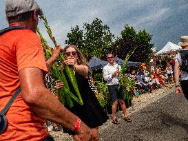 Last Day Of The International Four Days Marches Was Shortened Due To Heat, In Nijmegen.