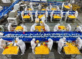 Yellow Peach Processing in Yichang