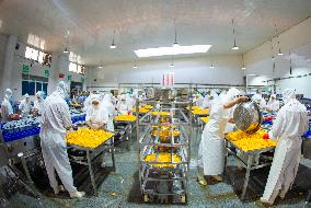 Yellow Peach Processing in Yichang