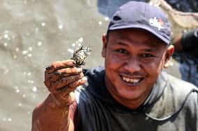 INDONESIA-KLATEN-FISH CATCHING-FESTIVAL