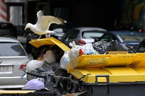 Garbage Strike - Spain