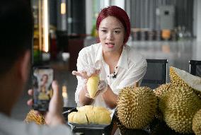 (HainanOutlook)CHINA-HAINAN-SANYA-DURIAN INDUSTRY (CN)