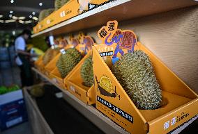 (HainanOutlook)CHINA-HAINAN-SANYA-DURIAN INDUSTRY (CN)