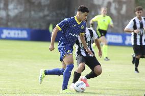 Friendly football match - Hellas Verona FC vs Rovereto