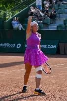 International Tennis match - WTA Hungarian Grand Prix - Final