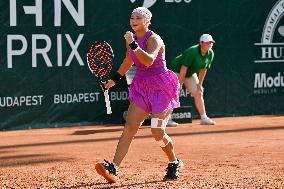 International Tennis match - WTA Hungarian Grand Prix - Final