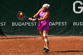 International Tennis match - WTA Hungarian Grand Prix - Final