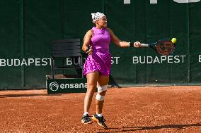 International Tennis match - WTA Hungarian Grand Prix - Final