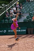 International Tennis match - WTA Hungarian Grand Prix - Final